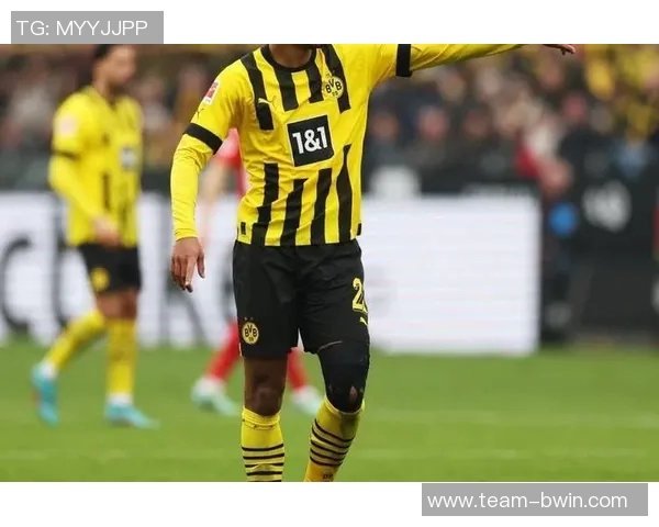 英媒独家报道利物浦关注葡体后卫迪奥曼德施洛特贝克仍为首选 英媒独家报道利物浦关注葡体后卫迪奥曼德施洛特贝克仍为首选